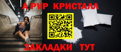 стафф Донской