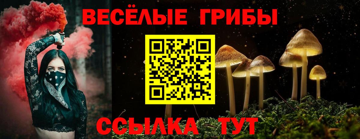 Вятские Поляны  Галлюциногенные грибы прущие грибы  Псилоцибиновые грибы мухоморы  Вход с VPN 